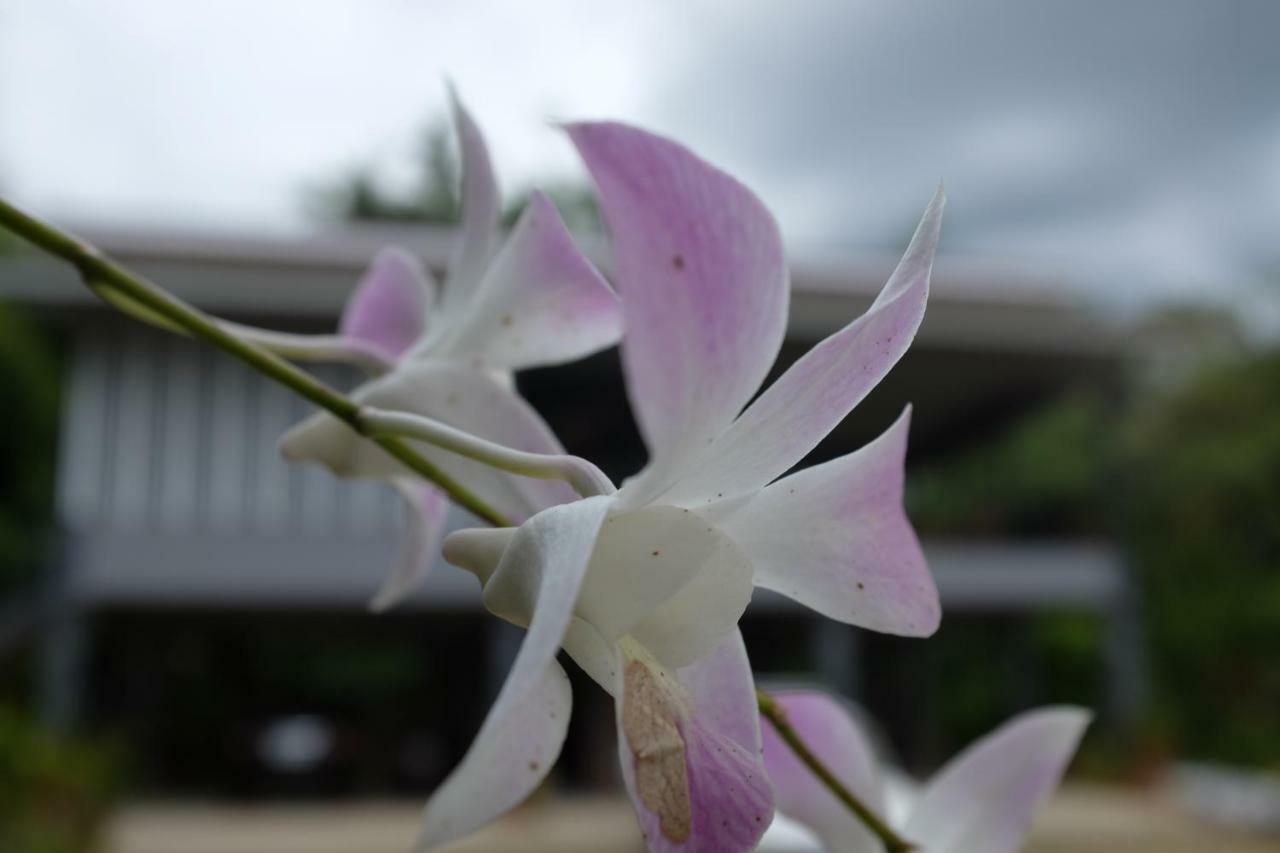 PhraoRai Boonsom公寓 外观 照片