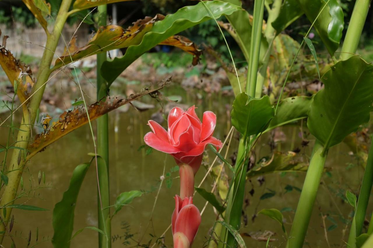 PhraoRai Boonsom公寓 外观 照片
