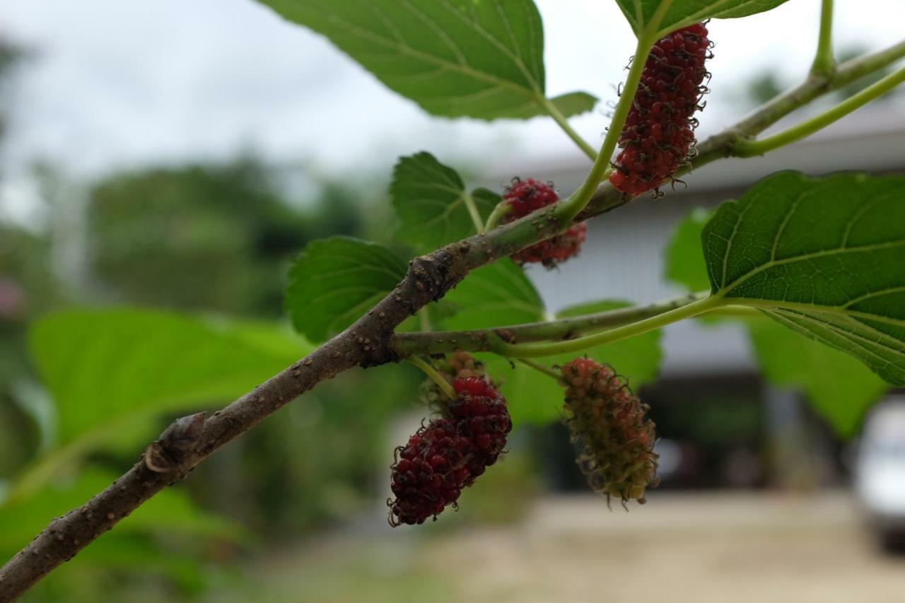 PhraoRai Boonsom公寓 外观 照片